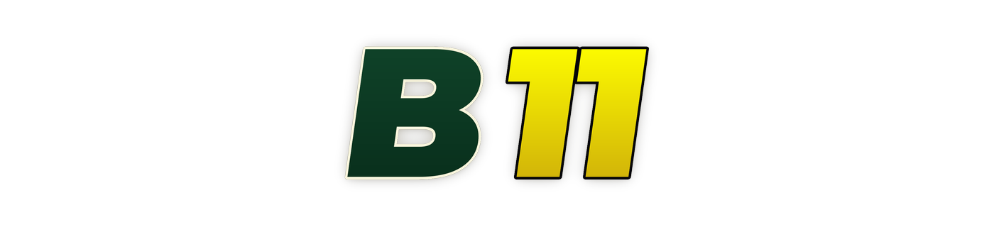 b11